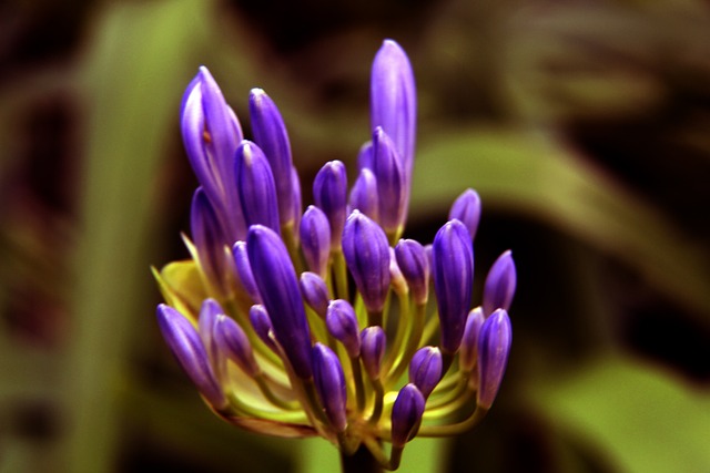 对于球队的 对于球队的