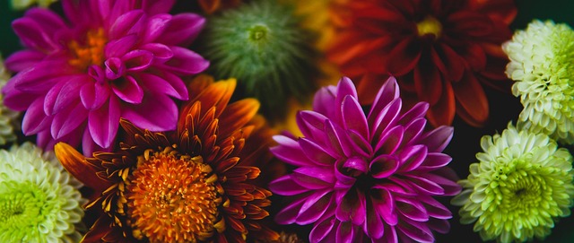 而本场比赛 而本场比赛