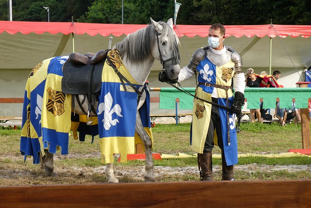 分析和战略 分析和战略