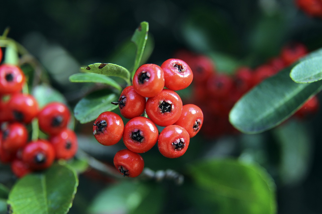 朱婷老东家 朱婷老东家