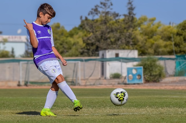 和多元化的 和多元化的