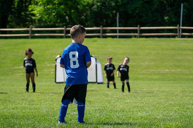 不是全联盟 不是全联盟