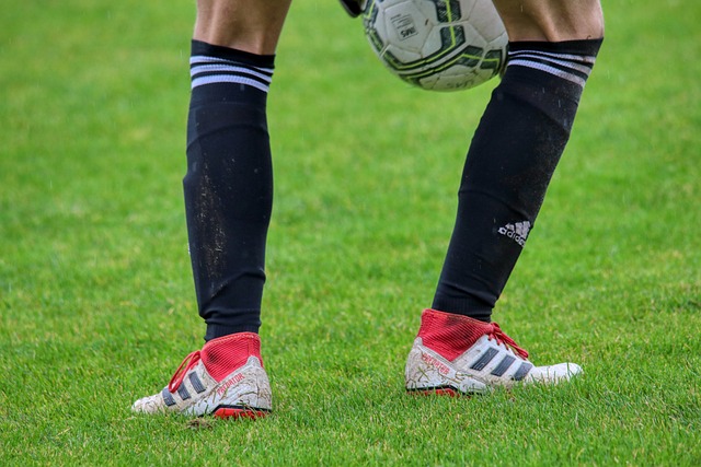 了不少得分 了不少得分